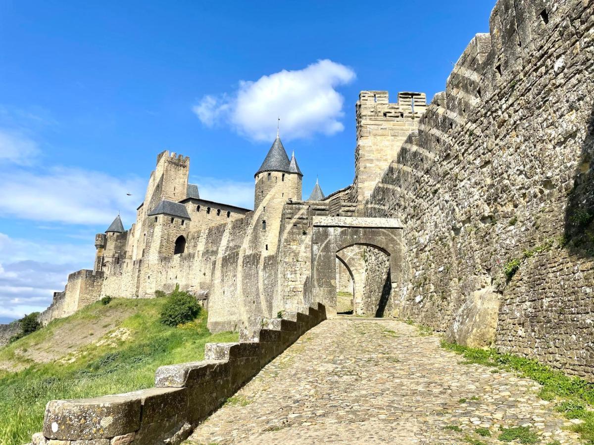 L'Ecrin De La Cite, Coeur De Vignes - Vivez Une Experience Inoubliable ! Carcassonne Buitenkant foto