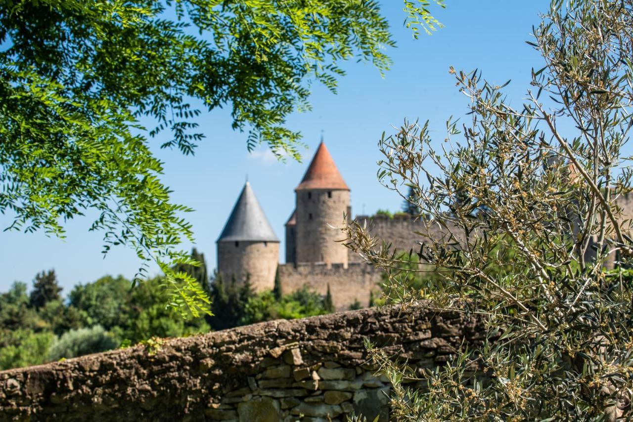 L'Ecrin De La Cite, Coeur De Vignes - Vivez Une Experience Inoubliable ! Carcassonne Buitenkant foto