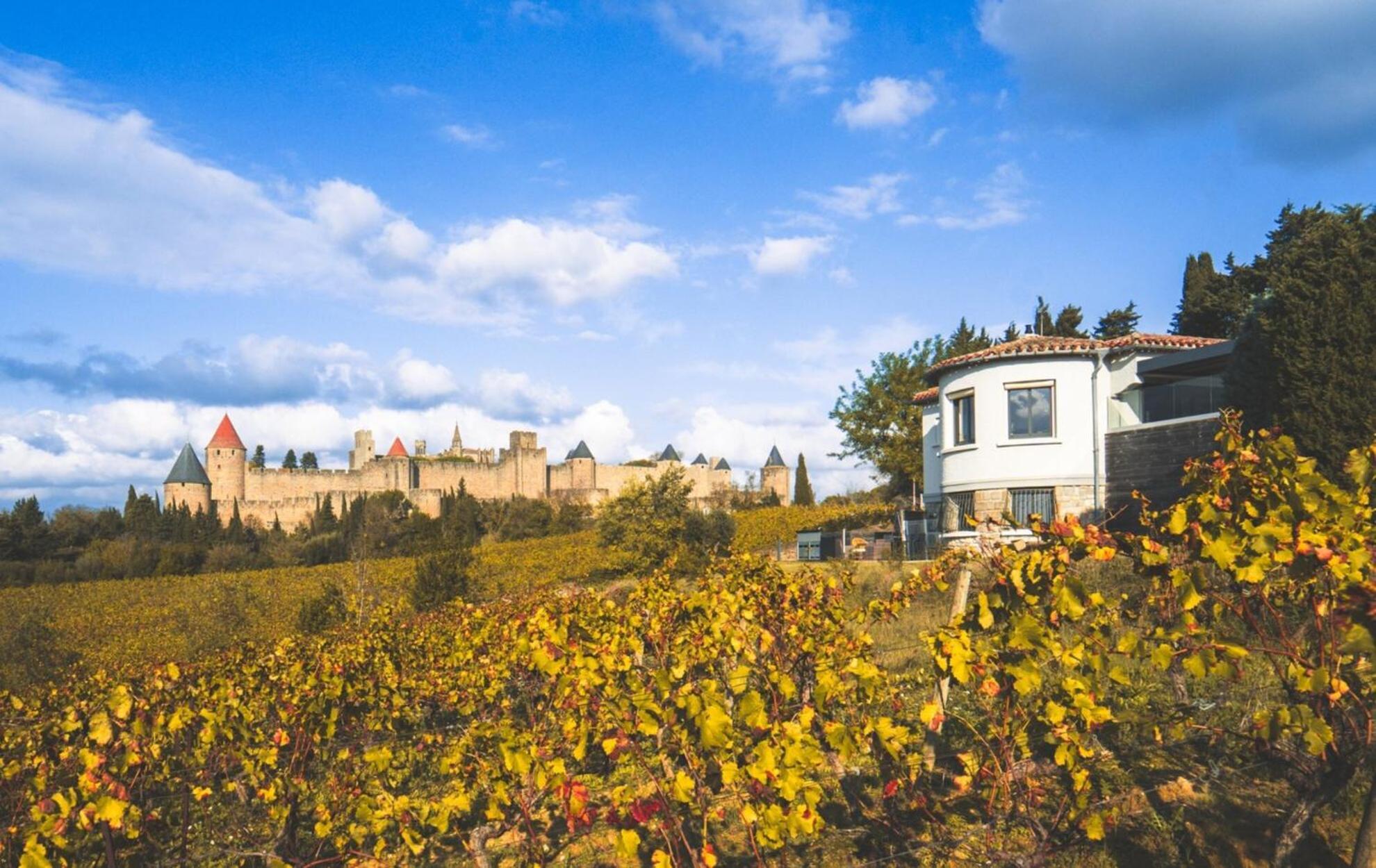 L'Ecrin De La Cite, Coeur De Vignes - Vivez Une Experience Inoubliable ! Carcassonne Buitenkant foto
